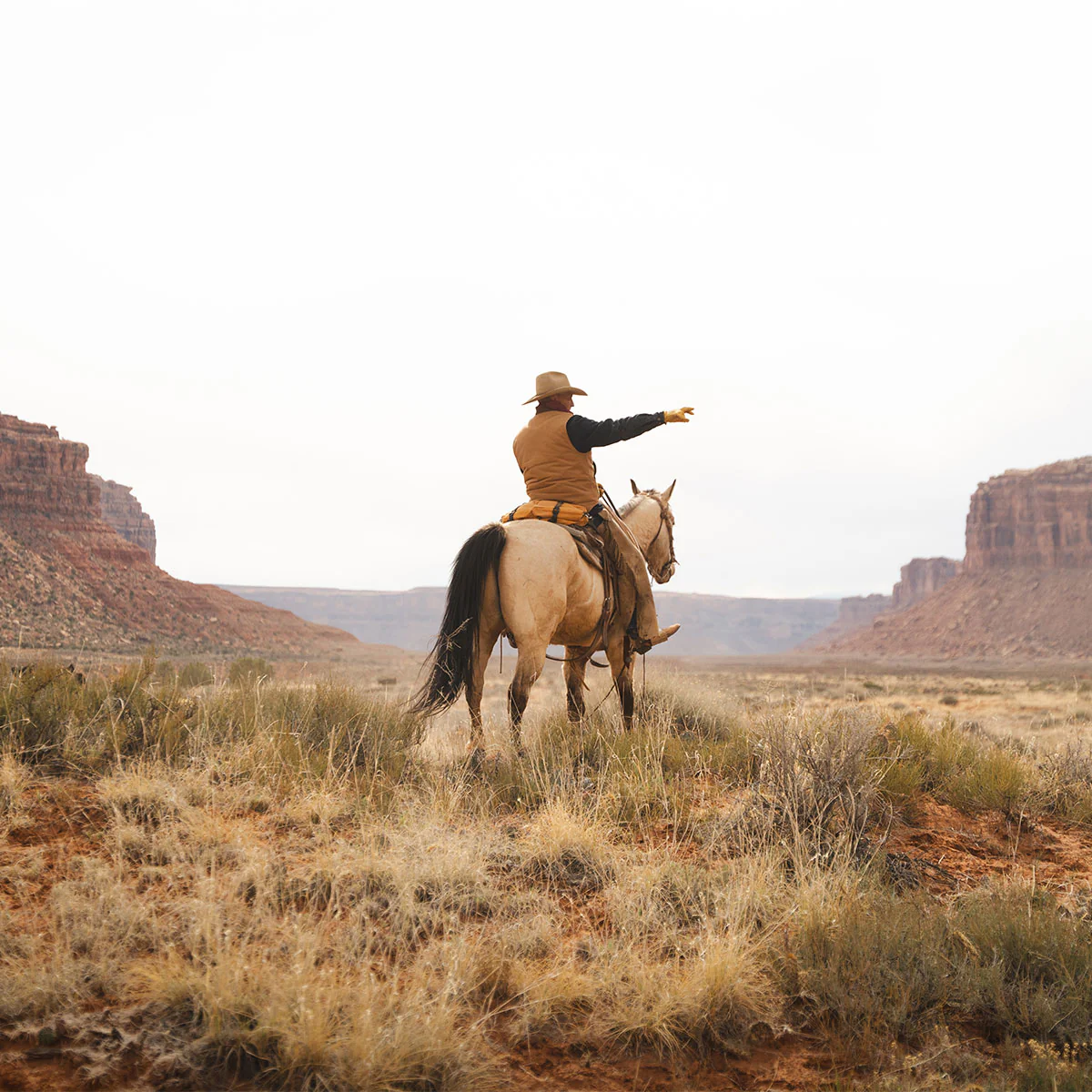 THE BRUMBY - Image 4