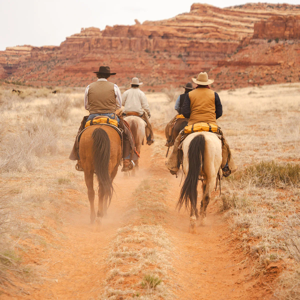 THE BRUMBY - Image 7